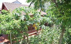 Van Long Family Homestay
